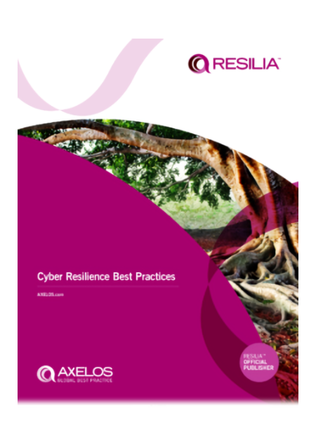 Resilia: Cyber Resiliance Best Practice Buch Book Publication