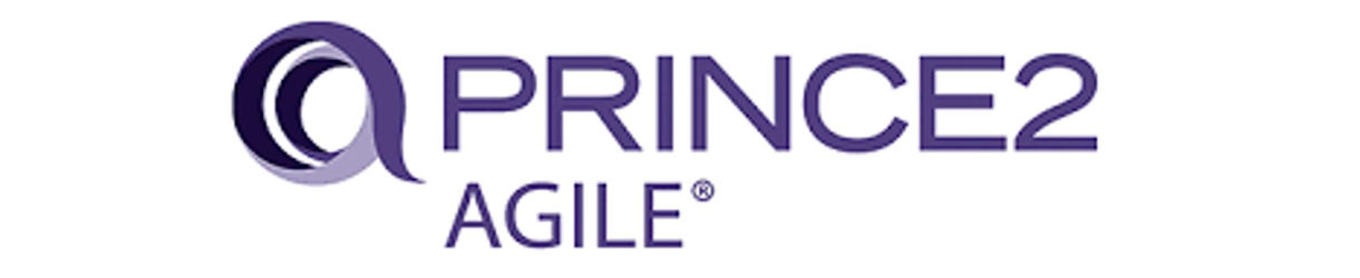 PRINCE2 AGILE Practitioner Blended Learning (das bessere eLearning)